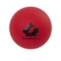 WINNWELL míček hokejbal Team Canada (carded) #1